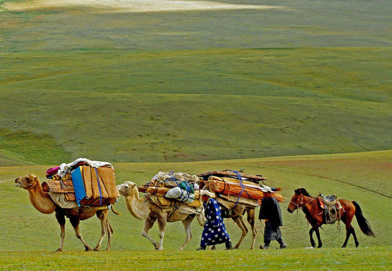 Марафоны мира: Монголия
