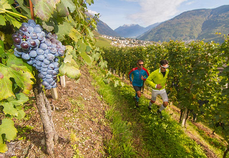 10_wine_races_Valtellina_Wine_Trail