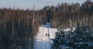8 зимних трейловых забегов в России и Европе
