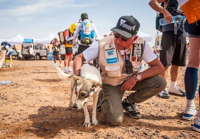 Собака по имени Кактус: главный герой 34-го Marathon des Sables