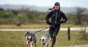 Каникросс: как бегать с собакой