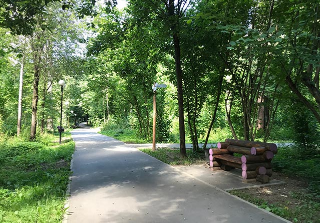 Где побегать в Красногорске: экскурсия по паркам города