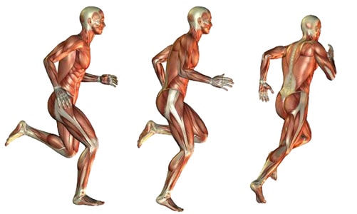 Зачем нужно махать ногами во время бега? Что это за упражнения. Как тренировать мышцы, чтобы бегать быстрее и быстрее