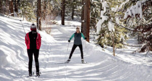Как вести себя на лыжне: правила поведения и безопасности при катании на беговых лыжах