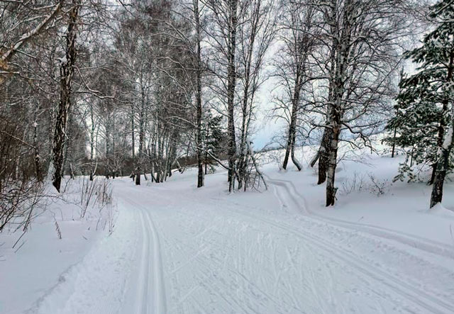 Где покататься на беговых лыжах в Барнауле