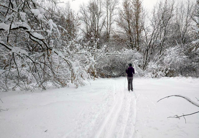 10 лучших мест, где покататься на беговых лыжах в Москве