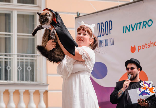 «Кошка на спорте»: необычный «кошачий» забег пройдёт в Санкт-Петербурге 2 июля