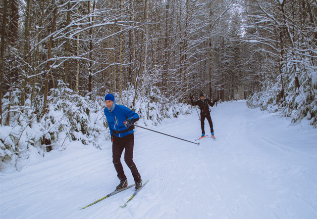 Где покататься на беговых лыжах в Перми и Пермском крае