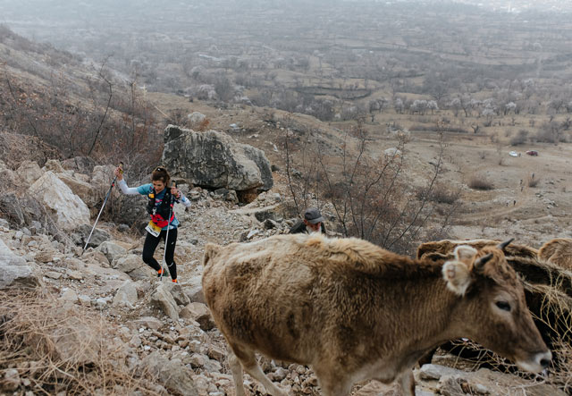 Dagestan Wild Trail 2024: испытайте себя в настоящих горах и прикоснитесь к многовековой истории